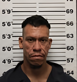 Mugshot of JESUS BENITO TORRES