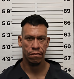 Mugshot of JESUS B TORRES