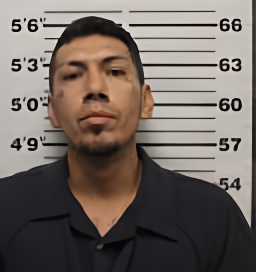 Mugshot of JEREMY DOMINGO TORRES
