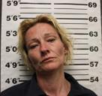 Mugshot of JOLEEN WAKELAND