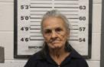 Mugshot of MARIANA DIANDA CHAVEZ