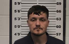 Mugshot of TRISTEN LEE SWIFT