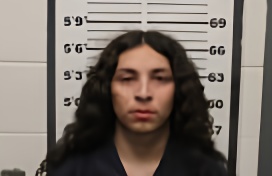 Mugshot of LYRIK MERKURY MILLS