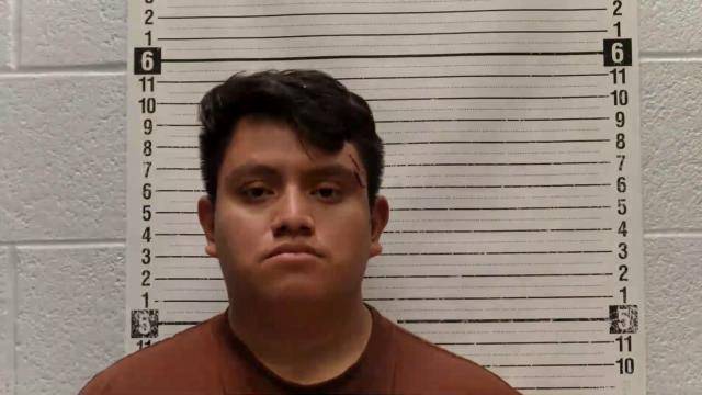 Mugshot of LEONARDO TEMICH-TEODORO