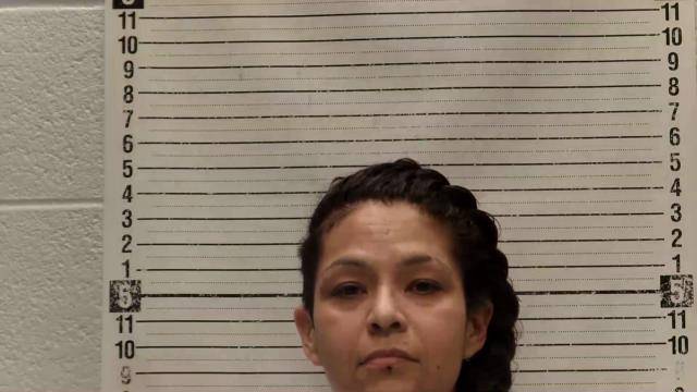 Mugshot of DAISY Y ALDERETE