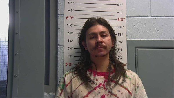 Mugshot of ELVIDES NEZ