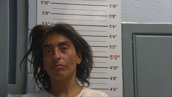 Mugshot of GUADALUPE NAVARRO