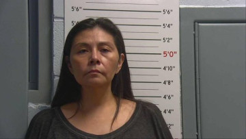 Mugshot of CHERLYN MICHELLE BURLESON