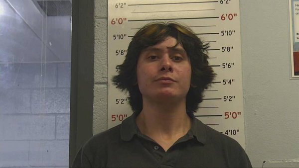 Mugshot of LOUIS SANDERS