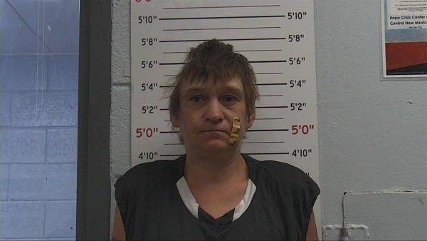 Mugshot of BRANNON STURDEVANT