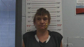 Mugshot of BRANNON STURDEVANT