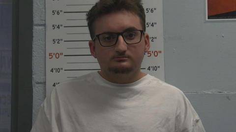 Mugshot of DONOVAN SHEELY