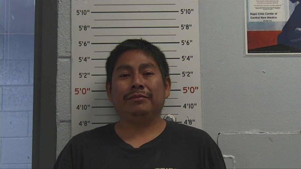 Mugshot of IRVIN DAVID PINO