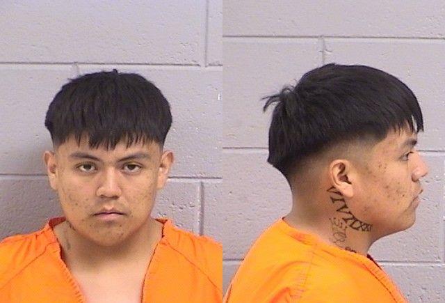 Mugshot of Thurmin Trevor Lee