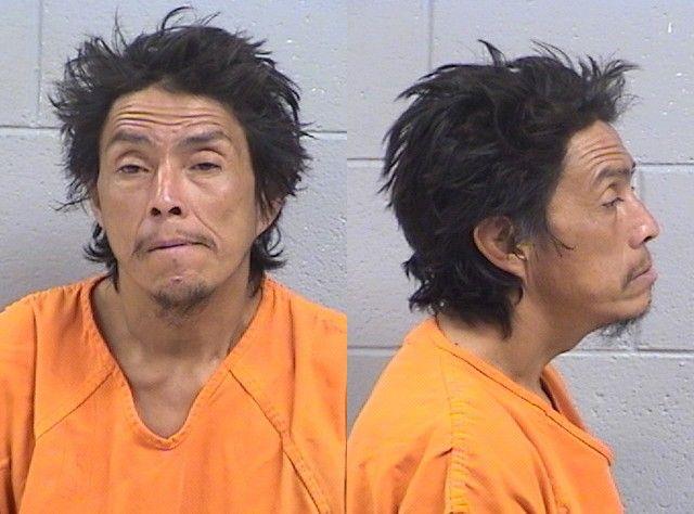 Mugshot of Loriinae Desiree Wilson