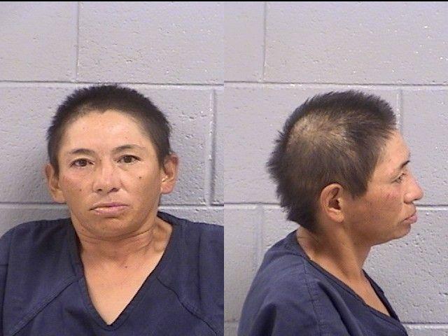 Mugshot of Shelley Lynn Begay