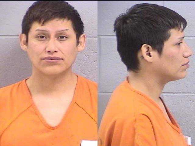 Mugshot of Brennan Kenneth Lee