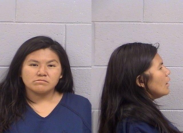 Mugshot of Ashlee Anna Johnson