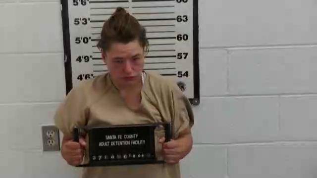 Mugshot of BRITTANY NICOLE JOHNSON