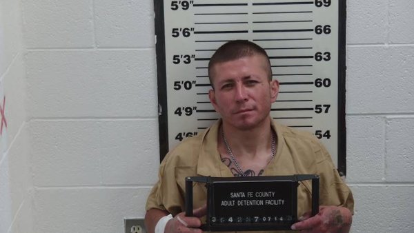 Mugshot of LUIS R LOZOYA-MATA