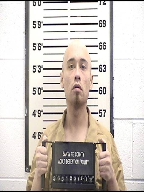 Mugshot of RAYMOND GONZALES