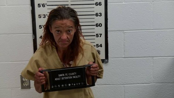 Mugshot of LYNN PETERSEN