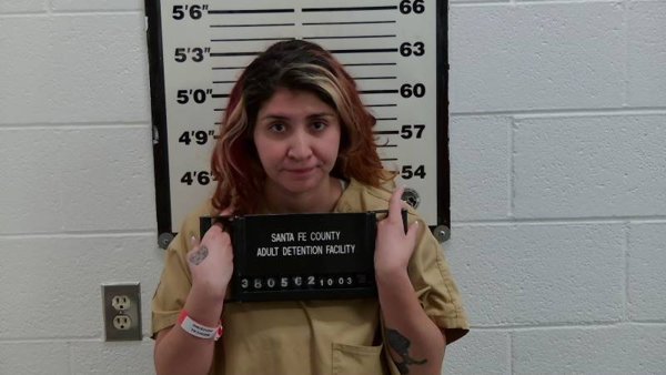 Mugshot of SAMANTHA GABALDON