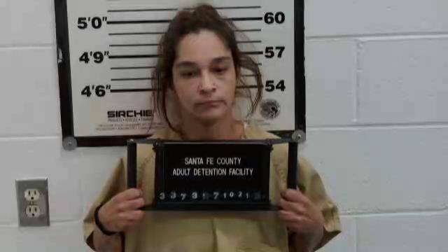Mugshot of JULIANA RAMONA PINA