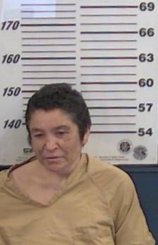 Mugshot of APRIL J PEREA