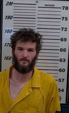 Mugshot of WALLACE STIRLING