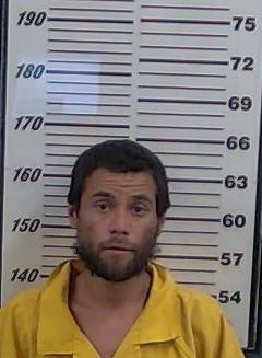 Mugshot of JERRY NEVAREZ