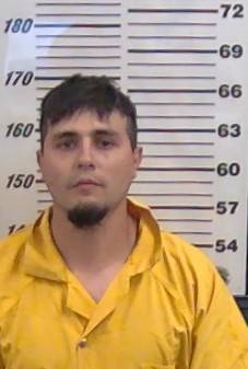 Mugshot of TRISTEN DAVIS