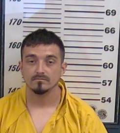 Mugshot of DAVID JARAMILLO