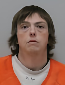 Mugshot of Jennifer Ann Blau