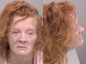 Mugshot of Ashley Nicole Newland