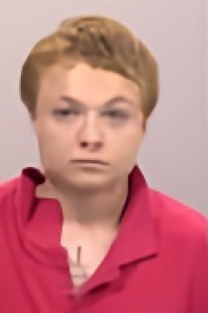Mugshot of Michael Allen Third Davis