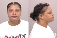 Mugshot of La Dora Nichelle Whisenton