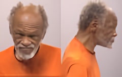 Mugshot of Raymond Michael Lee