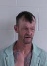 Mugshot of ROBERT NORVILLE