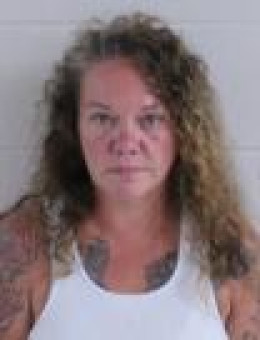 Mugshot of TEISHYA FAWN ELLIOTT