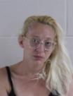 Mugshot of ROBIN LYNN WORKMAN