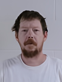 Mugshot of IAN LEE STULL