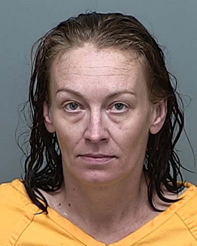 Mugshot of ASHLEIGH CHRISTINE CHILES