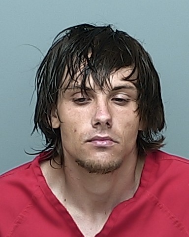 Mugshot of BRANDON LEE FISH