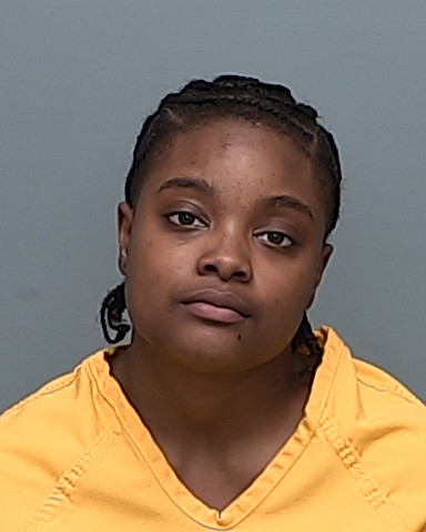 Mugshot of KYNDALL NE'LEH WILSON