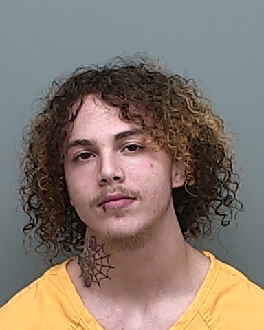 Mugshot of JACE AMARI HICKS