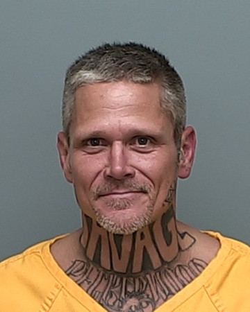 Mugshot of BRANDON LYNN NILES