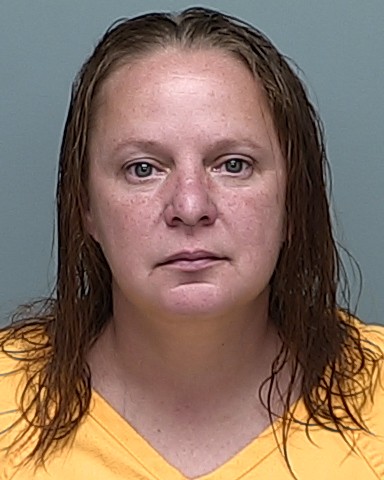 Mugshot of AMY MICHELLE BRADFORD