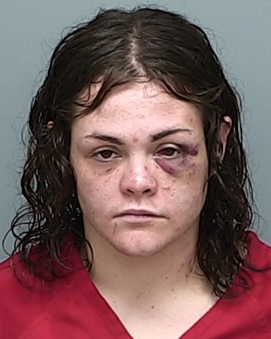 Mugshot of JESSICA LEAHANNE BROCK