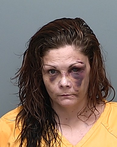 Mugshot of ALISHA MARIE BRADBURN